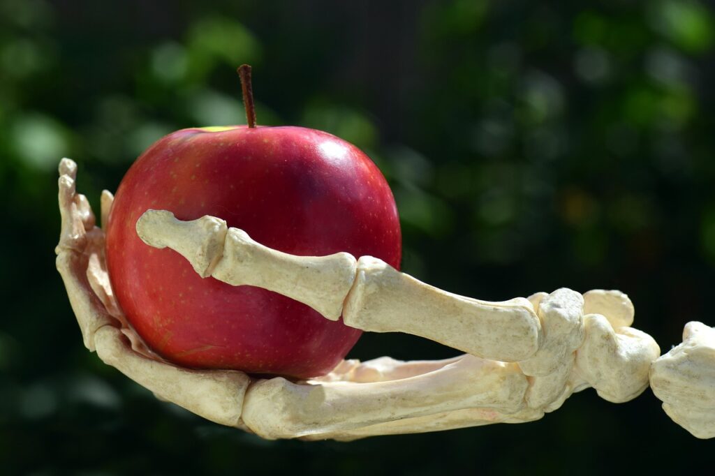 apple, hand, bone, snow white, poison, toxic apple, gift, toxic gift, witch, bone hand, skeleton, hidden, fruit, red, glittering, proffering, hand over, offer, fairy tale, pesticides, seduction, bone, bone, bone, bone, bone, poison, poison, witch, witch, skeleton, skeleton, skeleton, pesticides, pesticides, seduction